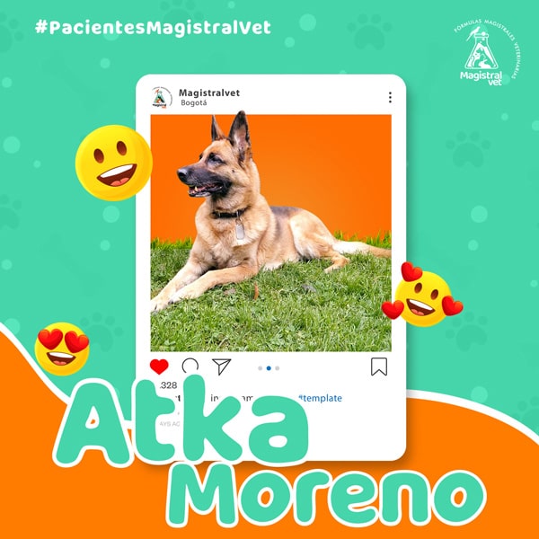 Akta-Moreno-paciente-min